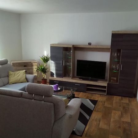 Apartman Pod Rickami Leilighet Rokytnice v Orlických Horách Eksteriør bilde