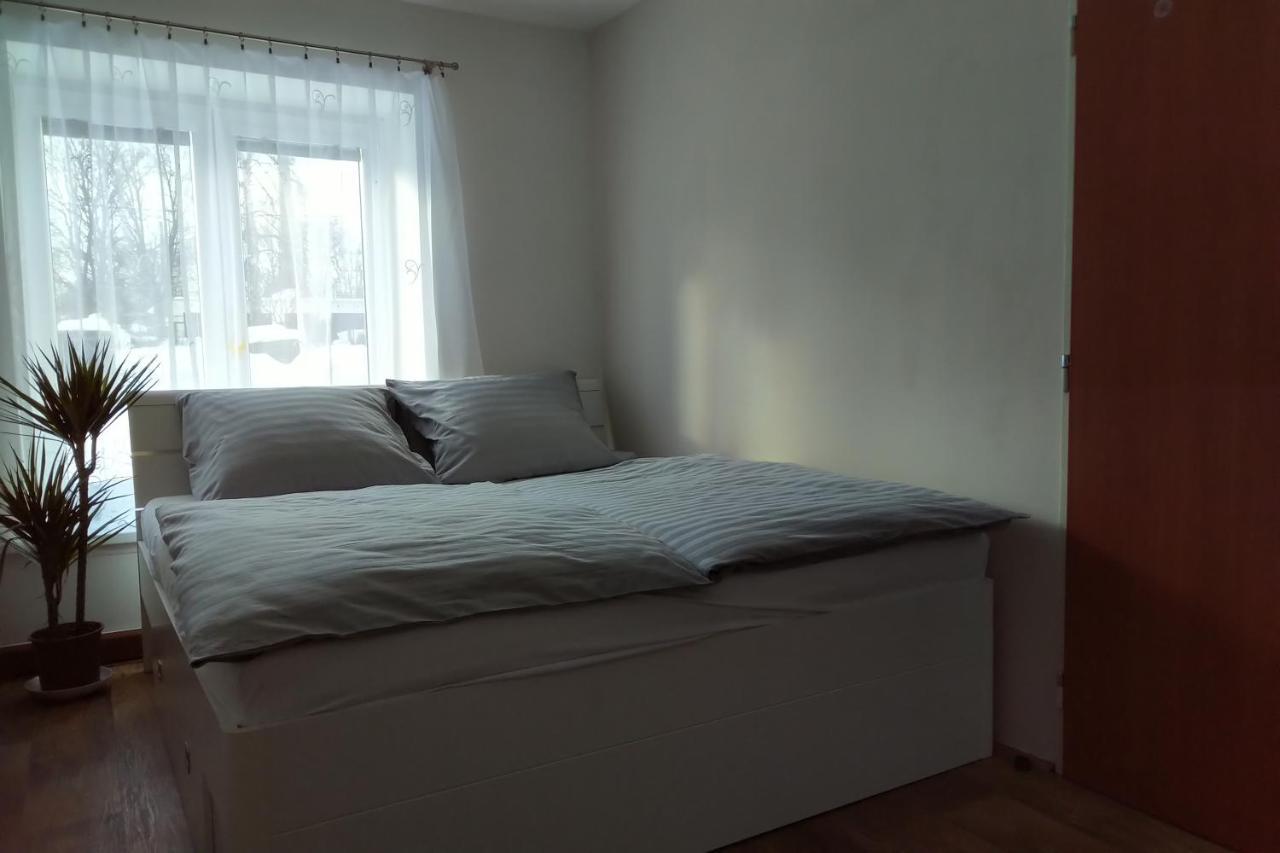 Apartman Pod Rickami Leilighet Rokytnice v Orlických Horách Eksteriør bilde